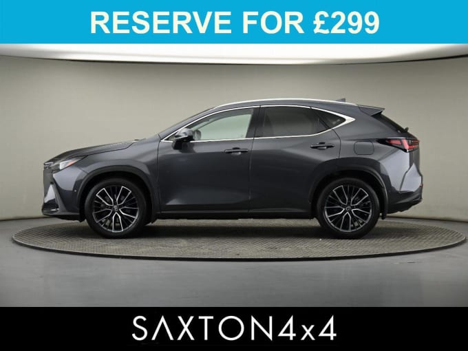 2025 Lexus Nx