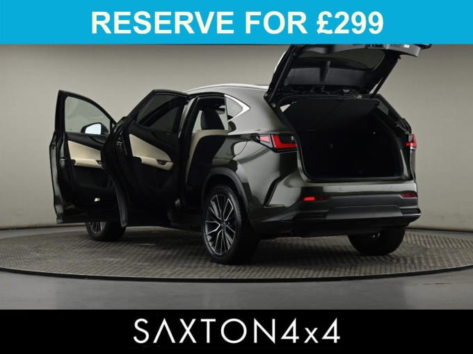 2025 Lexus Nx
