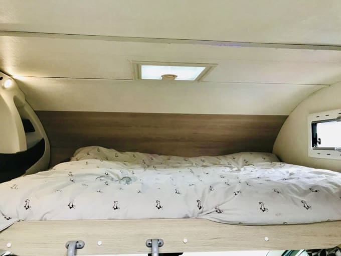 2025 Chausson C656 Flash