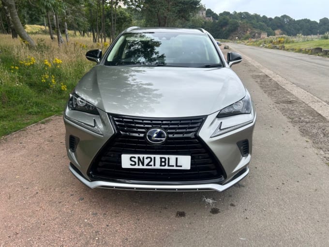 2025 Lexus Nx