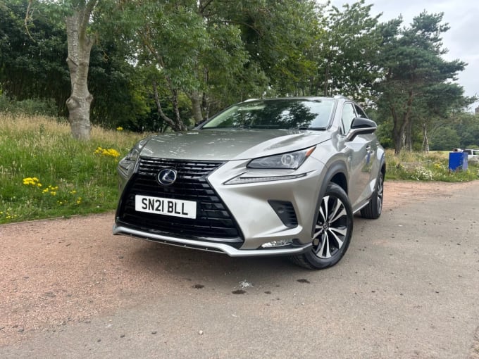 2025 Lexus Nx