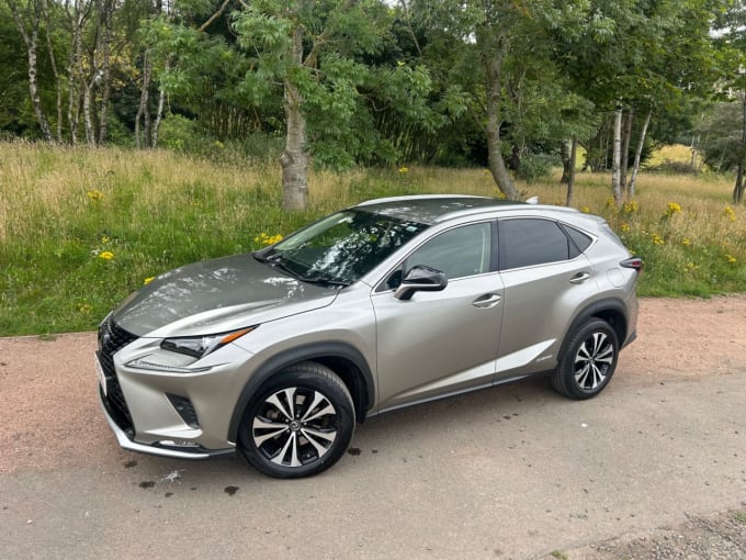 2025 Lexus Nx