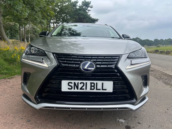 2025 Lexus Nx