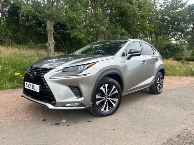 2025 Lexus Nx