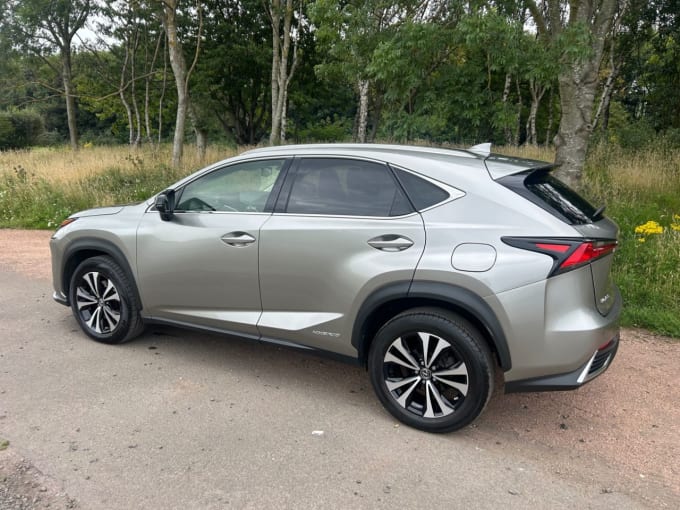 2025 Lexus Nx