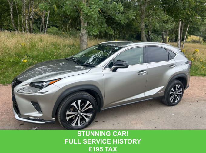 2025 Lexus Nx