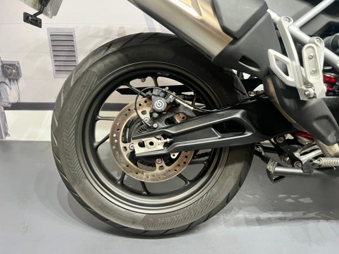 2025 Triumph Tiger 900