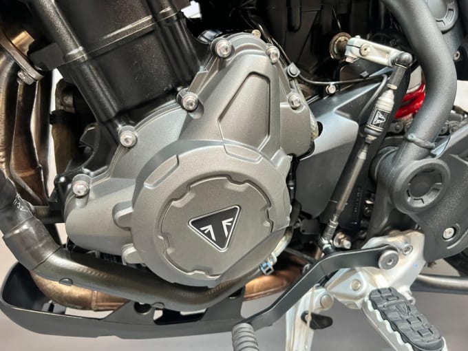 2025 Triumph Tiger 900