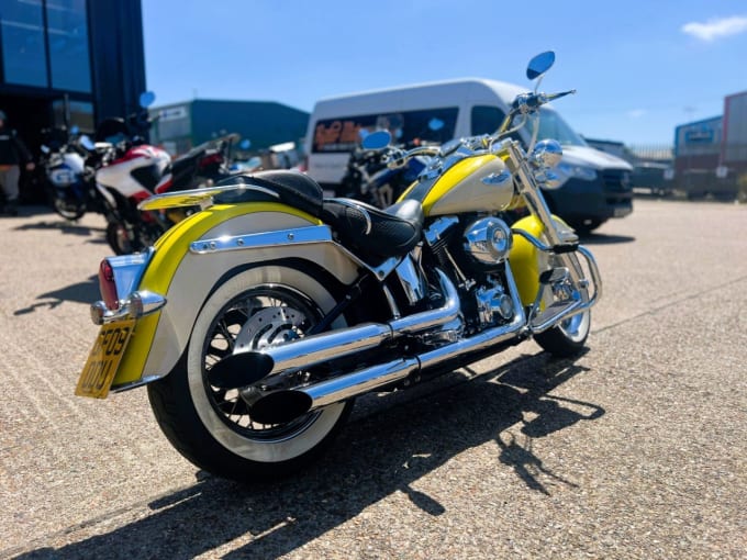 2025 Harley-davidson Softail
