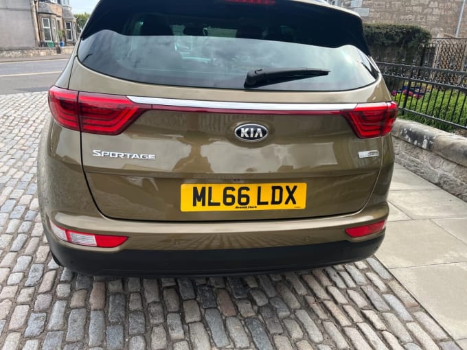 2025 Kia Sportage