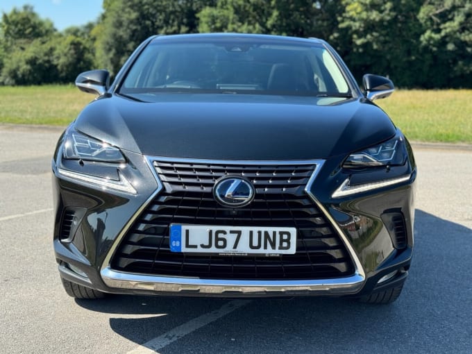 2024 Lexus Nx