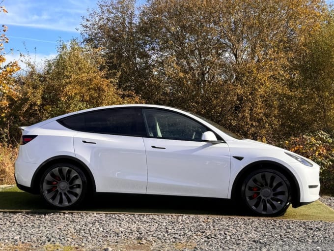 2025 Tesla Model Y