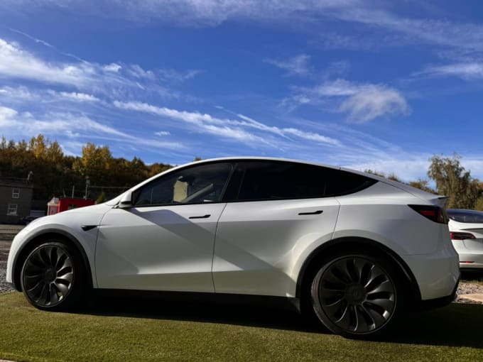 2025 Tesla Model Y