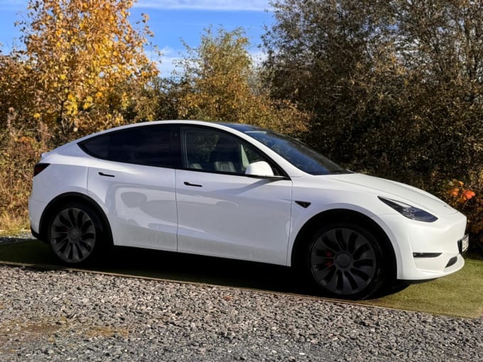 2025 Tesla Model Y