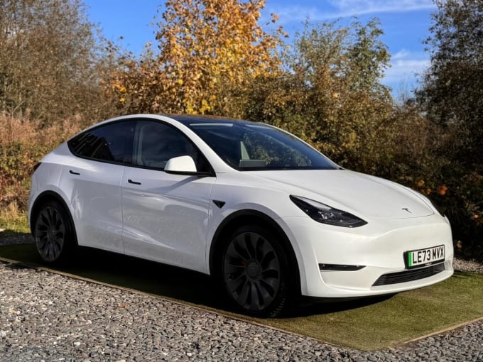 2025 Tesla Model Y