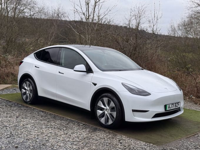 2025 Tesla Model Y