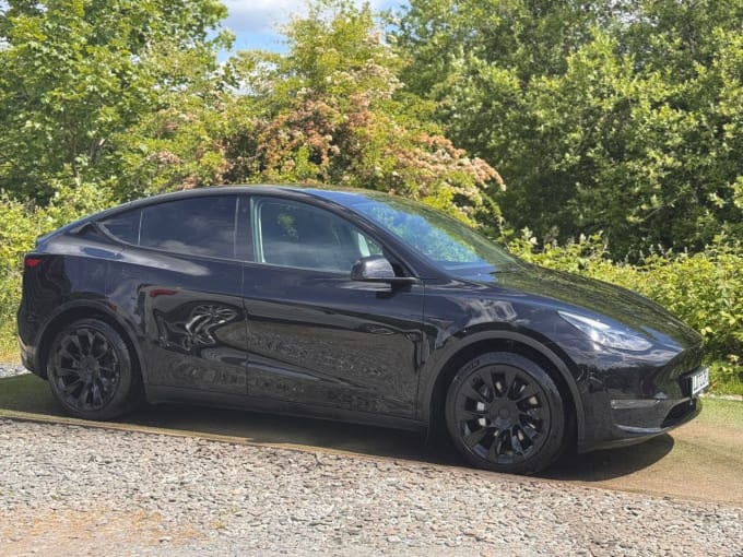 2025 Tesla Model Y