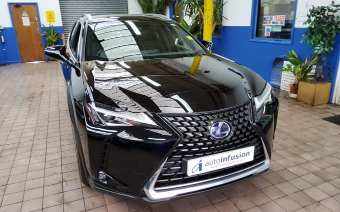 2025 Lexus Ux