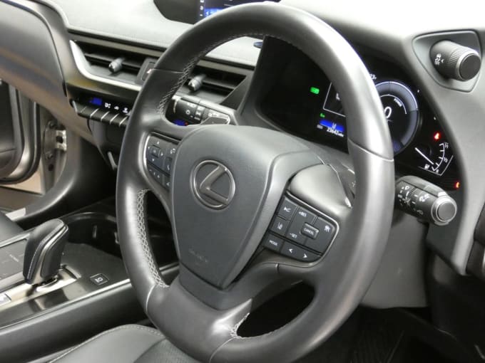 2025 Lexus Ux