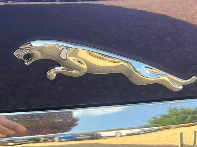 2025 Jaguar Xf
