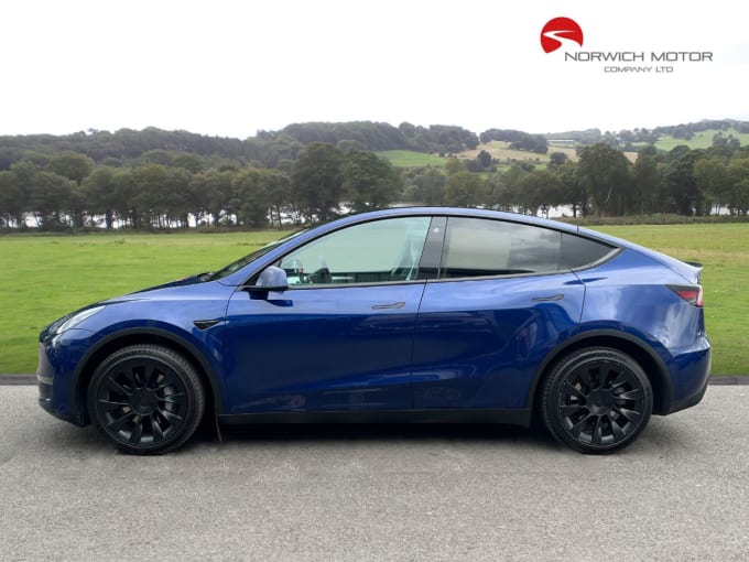 2025 Tesla Model Y