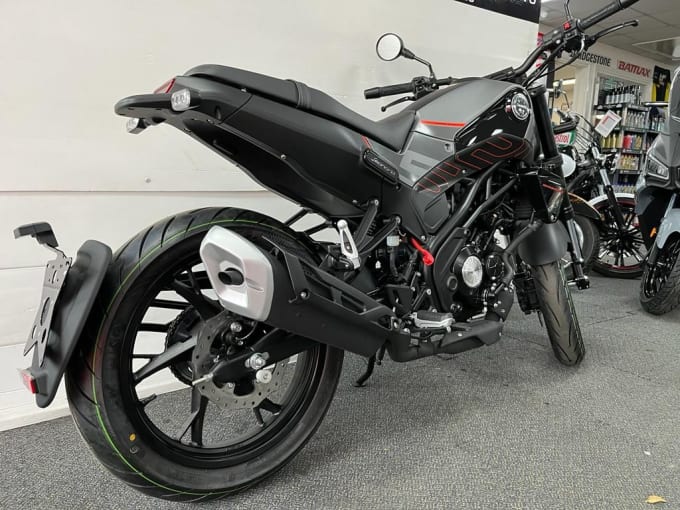 2024 Benelli Leoncino