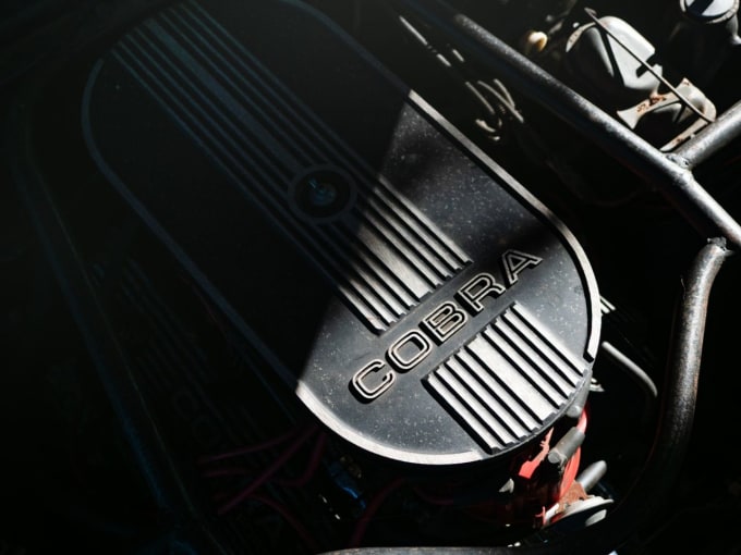 2025 Ford Falcon