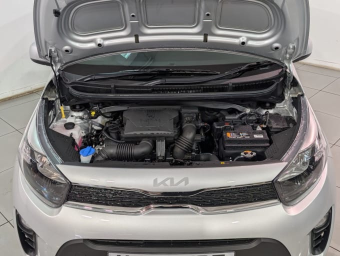 2024 Kia Picanto