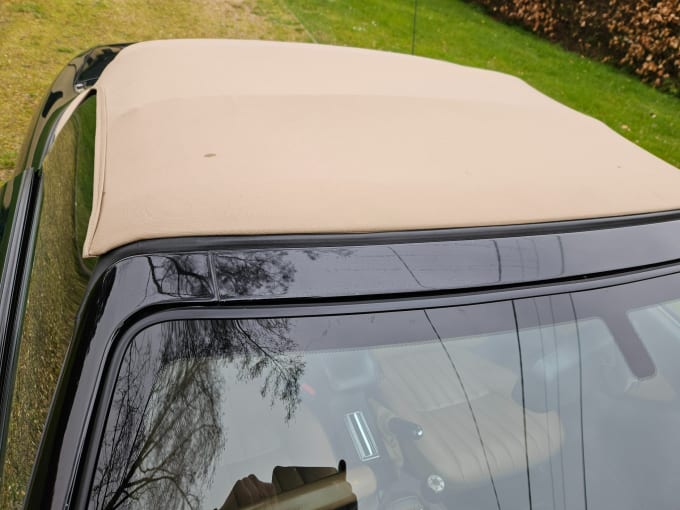 2025 Mg Mgf