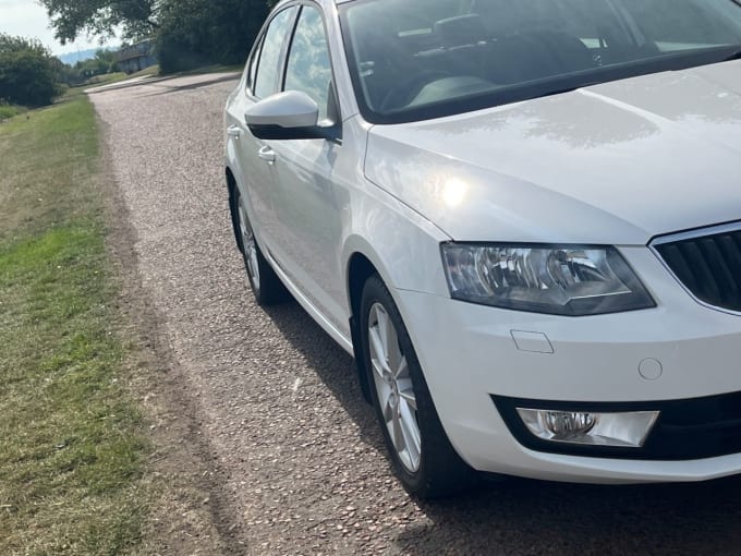 2025 Skoda Octavia